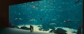 Movie still from “Oceans” (2009), directed by Jacques Cluzaud – Two people are looking at a large fish tank; Wide shot, High angle
