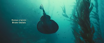 Movie still from “Oceans” (2009), directed by Jacques Cluzaud – An underwater view of a fish swimming in the water; Wide shot, High angle