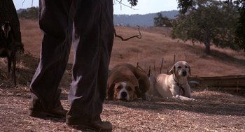 Movie still from “Of Mice and Men” (1992), directed by Gary Sinise – Two dogs laying on the ground next to each other; Wide shot, Low angle