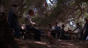 Movie still from “Of Mice and Men” (1992), directed by Gary Sinise – A man sitting on top of a wooden bench next to a dog; Wide shot, Low angle
