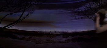 Movie still from “Oklahoma!” (1955), directed by Fred Zinnemann – A fence is shown at night with a sky background; Extreme Wide shot, Low angle