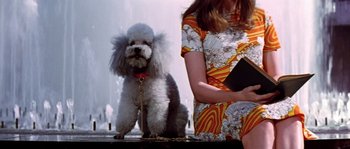 Movie still from “On a Clear Day You Can See Forever” (1970), directed by Vincente Minnelli – A woman standing next to a dog on a leash; Medium shot, Low angle