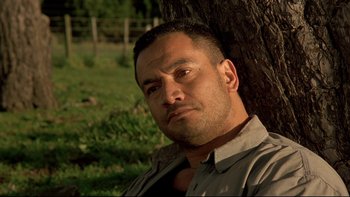 Movie still from “Once Were Warriors” (1994), directed by Lee Tamahori – A person near a tree; Close Up shot, Low angle