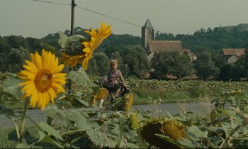 Movie still from “One Hundred and One Nights” (1995), directed by Agnès Varda – A woman riding a bike through a field of sunflowers; Extreme Wide shot, Low angle
