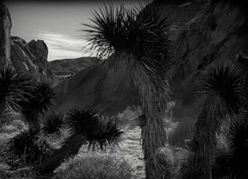 Movie still from “One Million B.C.” (1940), directed by Hal Roach Jr. – A black and white photo of some trees and mountains; Extreme Wide shot, Low angle