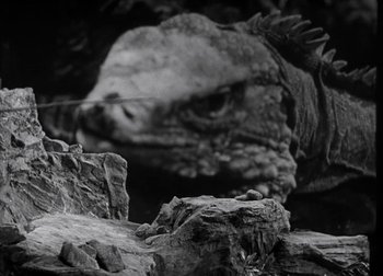 Movie still from “One Million B.C.” (1940), directed by Hal Roach Jr. – A black and white photo of a lizard; Extreme Close Up shot, Low angle