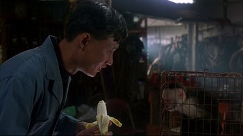 Movie still from “Outbreak” (1995), directed by Wolfgang Petersen – A man holding a banana in front of a monkey; Medium shot, Over the shoulder angle
