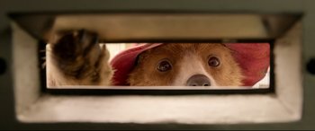 Movie still from “Paddington 2” (2017), directed by Paul King – A brown dog with a red hat peeking out of a window; Extreme Close Up shot, Over the shoulder angle