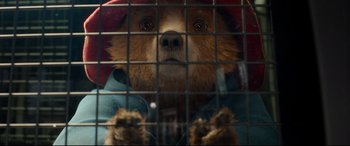 Movie still from “Paddington 2” (2017), directed by Paul King – A dog in a cage looking at the camera through the bars; Close Up shot, Low angle