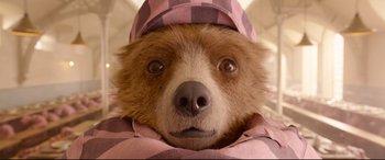 Movie still from “Paddington 2” (2017), directed by Paul King – A brown bear wearing a pink and purple hat; Close Up shot, Overhead angle