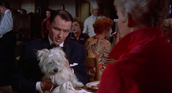 Movie still from “Pal Joey” (1957), directed by George Sidney – A man in a suit holding a white dog; Medium shot, Over the shoulder angle