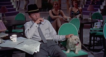 Movie still from “Pal Joey” (1957), directed by George Sidney – A man sitting on a chair with a dog; Medium shot, Over the shoulder angle