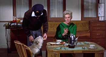 Movie still from “Pal Joey” (1957), directed by George Sidney – A man and a woman sitting at a table with a dog; Medium shot, High angle