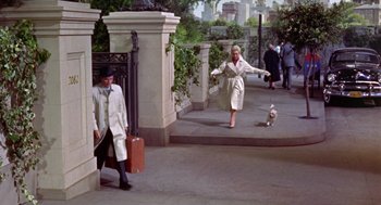 Movie still from “Pal Joey” (1957), directed by George Sidney – A man and a woman walking down a sidewalk with a dog; Wide shot, High angle
