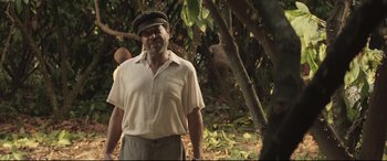 Movie still from “Palm Trees in the Snow” (2015), directed by Fernando González Molina – An older man wearing a hat standing next to a tree; Medium shot, Over the shoulder angle