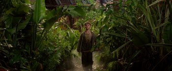 Movie still from “Pan” (2015), directed by Joe Wright – A young man in a forest surrounded by trees; Wide shot, High angle