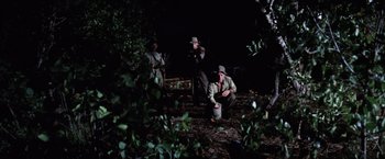 A group of people in the woods at night