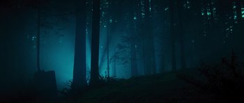 Movie still from “Percy Jackson: Sea of Monsters” (2013), directed by Thor Freudenthal – A dark forest is lit up at night time; Extreme Wide shot, Low angle