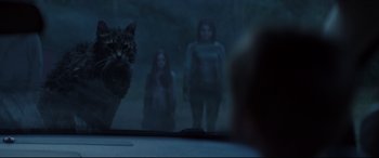 Movie still from “Pet Sematary” (2019), directed by Kevin Kölsch – A cat sitting in front of a window with two women in the background; Medium shot, Over the shoulder angle