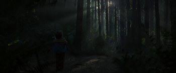 Movie still from “Pete's Dragon” (2016), directed by David Lowery – A child standing in the middle of a forest at night; Extreme Wide shot, Low angle