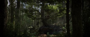 Movie still from “Pete's Dragon” (2016), directed by David Lowery – A tree in the middle of a forest with rocks; Extreme Wide shot, Low angle