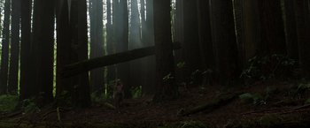 Movie still from “Pete's Dragon” (2016), directed by David Lowery – A person standing in the middle of a forest; Extreme Wide shot, Low angle
