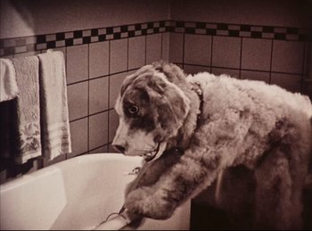 Movie still from “Peter Pan” (1924), directed by Herbert Brenon – A dog that is standing in a bath tub; Medium shot, High angle