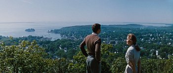 Movie still from “Peyton Place” (1957), directed by Mark Robson – A man standing on top of a hill looking at a lake; Extreme Wide shot, High angle