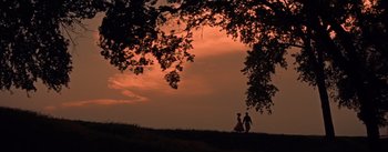 Movie still from “Picnic” (1955), directed by Joshua Logan – Two people are walking on a hill at sunset; Extreme Wide shot, Low angle
