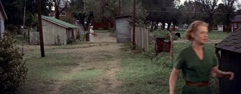 Movie still from “Picnic” (1955), directed by Joshua Logan – An old woman walking down a dirt path; Extreme Wide shot, High angle