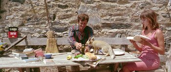 Movie still from “Pierrot le Fou” (1965), directed by Jean-Luc Godard – A man sitting at a picnic table with a dog; Medium shot, High angle