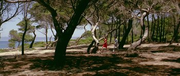 Movie still from “Pierrot le Fou” (1965), directed by Jean-Luc Godard – A man and a woman walking through a forest; Extreme Wide shot, High angle