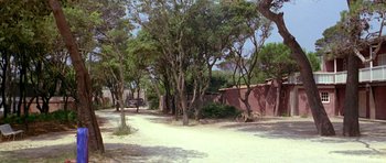 Movie still from “Pierrot le Fou” (1965), directed by Jean-Luc Godard – A dirt road that has some trees on the side of the road; Extreme Wide shot, Low angle