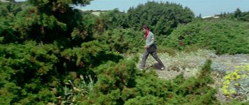 Movie still from “Pierrot le Fou” (1965), directed by Jean-Luc Godard – A man is walking through the woods on a trail; Extreme Wide shot, High angle