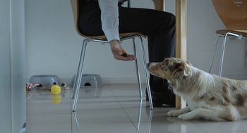 Movie still from “Pity” (2018), directed by Babis Makridis – A person sitting on a chair with a dog next to him; Medium shot, High angle