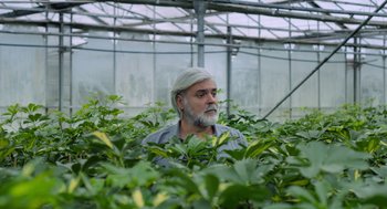 Movie still from “Pity” (2018), directed by Babis Makridis – A man with a gray beard is in a greenhouse; Medium shot, Low angle