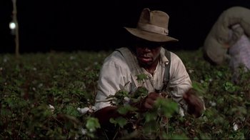 Movie still from “Places in the Heart” (1984), directed by Robert Benton – A man wearing a hat picking cotton in a field; Medium shot, Low angle