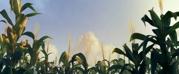 Movie still from “Planes: Fire & Rescue” (2014), directed by Bobs Gannaway – A view of a corn field from the ground up; Extreme Wide shot, Low angle
