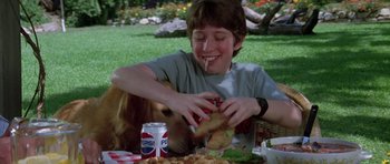Movie still from “Poltergeist II: The Other Side” (1986), directed by Brian Gibson – A person and a dog are sitting at a picnic table; Medium shot, High angle