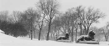 Movie still from “Polytechnique” (2009), directed by Denis Villeneuve – A statue of a lion in the middle of a snowy park; Extreme Wide shot, Low angle