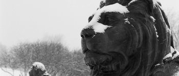 Movie still from “Polytechnique” (2009), directed by Denis Villeneuve – A black and white photo of a statue of a lion; Extreme Close Up shot, Low angle