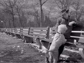 Movie still from “Portrait of Jennie” (1948), directed by William Dieterle – A man sitting on top of a wooden bench next to a dog; Medium shot, Over the shoulder angle