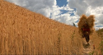 Movie still from “Powaqqatsi” (1988), directed by Godfrey Reggio – A field of tall brown grass under a cloudy blue sky; Extreme Wide shot, Low angle