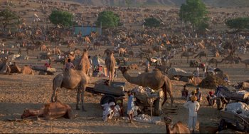 Movie still from “Powaqqatsi” (1988), directed by Godfrey Reggio – A large group of people standing around a herd of camels; Extreme Wide shot, High angle