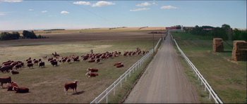 Movie still from “Prime Cut” (1972), directed by Michael Ritchie – A herd of cattle grazing in a field next to a road; Extreme Wide shot, High angle