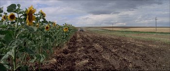 Movie still from “Prime Cut” (1972), directed by Michael Ritchie – A car is driving down a dirt road near sunflowers; Extreme Wide shot, High angle