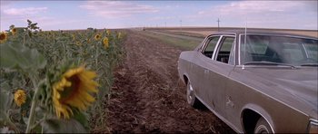 Movie still from “Prime Cut” (1972), directed by Michael Ritchie – A car parked in the middle of a sunflower field; Wide shot, High angle