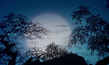 Movie still from “Princes and Princesses” (2000), directed by Michel Ocelot – A full moon setting in the night sky with trees in the foreground; Extreme Wide shot, Low angle