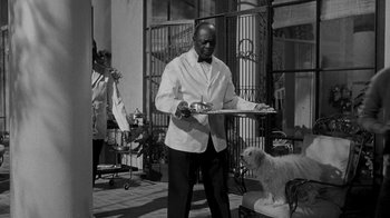 Movie still from “Queen Bee” (1955), directed by Ranald MacDougall – A man holding a tray with a dog sitting next to him; Medium shot, High angle