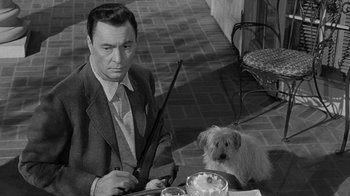 Movie still from “Queen Bee” (1955), directed by Ranald MacDougall – A black and white photo of a man and a dog; Medium shot, Over the shoulder angle